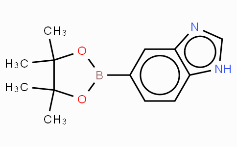 1H-benzimidazole-5-boronic acid, pinacol ester