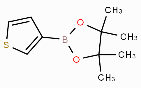 Thiophene-3-boronic acid pinacol ester
