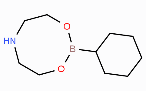 Cyclohexylboronic acid diethanolamine ester