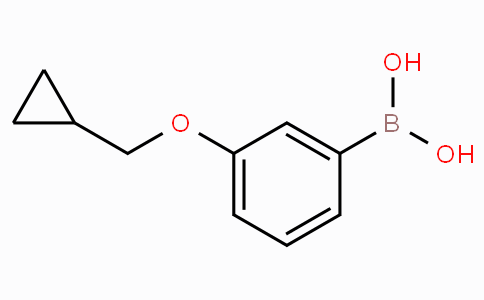 3-(Cyclopropylmethoxy)phenylboronic acid