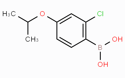 2-氯-4-异丙基苯硼酸