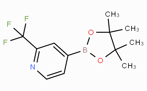 4-(4,4,5,5-Tetramethyl-[1,3,2]dioxaborolan-2-yl)-2- trifluoromethyl-pyridine