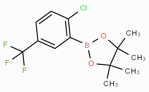 2-Chloro-5-(trifluoromethyl)phenylboronic acid pinacol ester