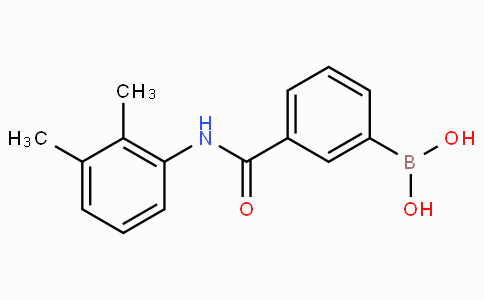 3-(2,3-Dimethylphenylcarbamoyl)phenylboronic acid