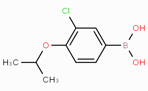 3-氯-4-异丙氧基苯基硼酸