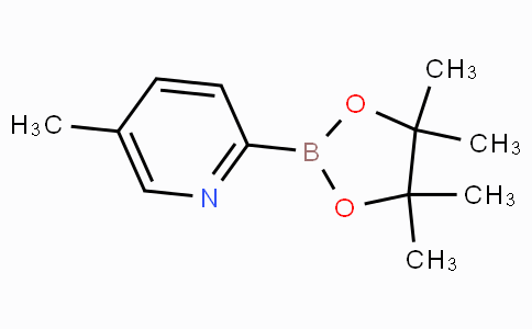 5-Methylpyridine-2-boronicacidpinacolester