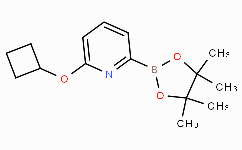 6-(Cyclobutoxy)pyridine-2-boronicacidpinacolester