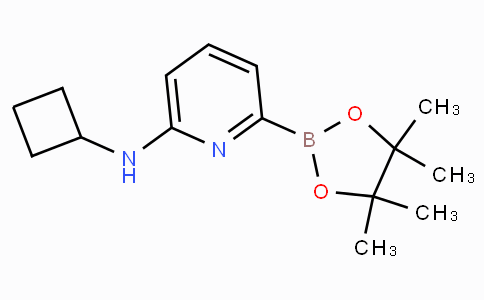 6-(Cyclobutylamino)pyridine-2-boronicacidpinacolester