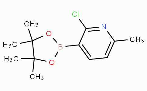 2-Chloro-6-methylpyridine-3-boronicacidpinacolester