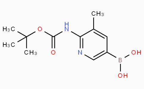 2-tert-Butyloxycarbonylamino-3-methylpyridine-5-boronicacid