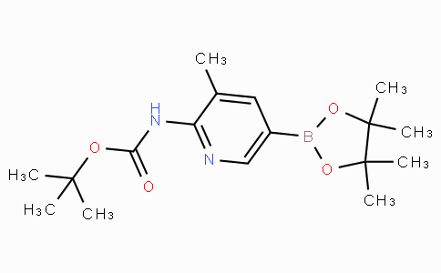 2-tert-Butyloxycarbonylamino-3-methylpyridine-5-boronicacidpinacolester