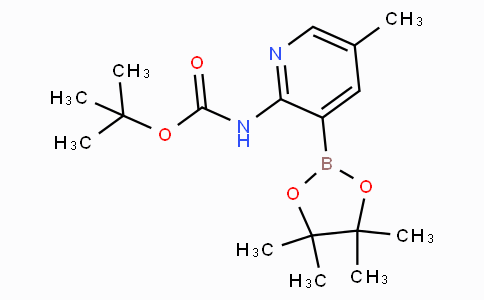 2-tert-Butyloxycarbonylamino-5-methylpyridine-3-boronicacidpinacolester