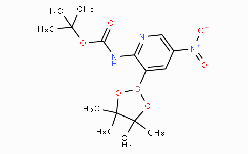 2-tert-Butyloxycarbonylamino-5-nitropyridine-3-boronicacidpinacolester