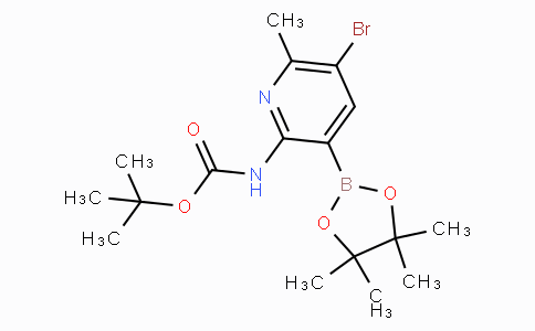 5-Bromo-2-tert-Butyloxycarbonylamino-6-methylpyridine-3-boronicacidpinacolester