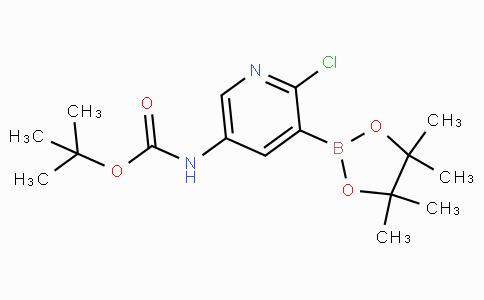 5-tert-Butyloxycarbonylamino-2-chloropyridine-3-boronicacidpinacolester