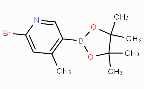 6-Bromo-4-methylpyridine-3-boronicacidpinacolester
