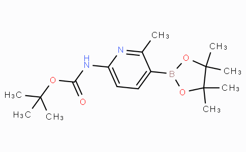 6-tert-Butyloxycarbonylamino-2-methylpyridine-3-boronicacidpinacolester