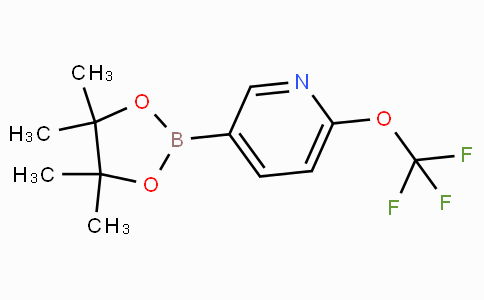 6-Trifluoromethoxypyridine-3-boronicacidpinacolester