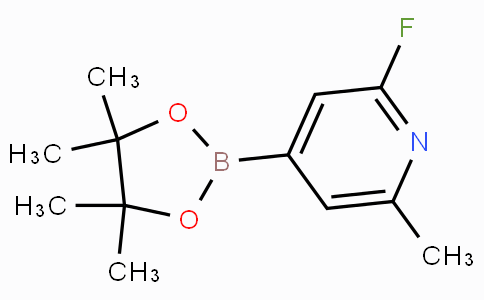 2-Fluoro-6-methylpyridine-4-boronicacidpinacolester