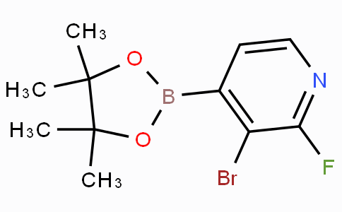 3-Bromo-2-fluoropyridine-4-boronicacidpinacolester