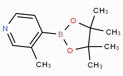 3-Methylpyridine-4-boronicacidpinacolester