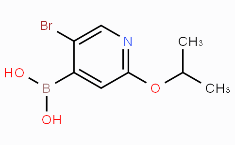 5-溴-2-（异丙氧基）吡啶-4-硼酸