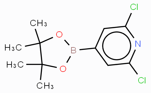 2,6-Dichloropyridine-4-boronic acid, pinacol ester