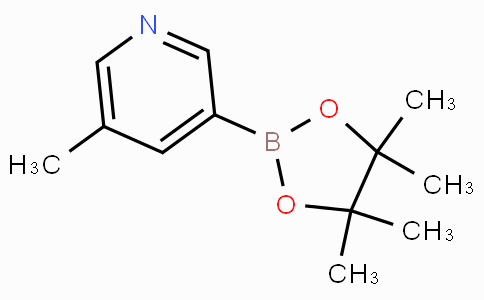 5-Methylpyridine-3-boronic acid pinacol ester