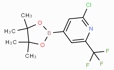 2-CHLORO-4-(4,4,5,5-TETRAMETHYL-1,3,2-DIOXABOROLAN-2-YL)-6-(TRIFLUOROMETHYL)PYRIDINE