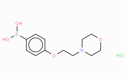 4-(2-Morpholinoethoxy)phenylboronic acid, HCl