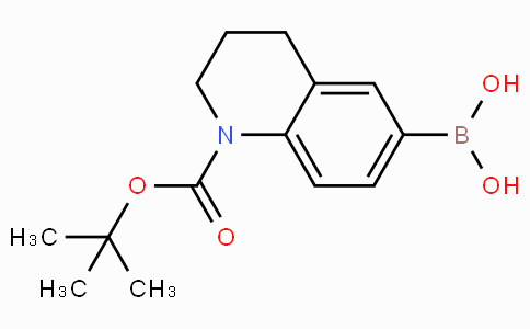 (1-N-Boc-1,2,3,4-tetrahydroquinolin-6-yl)boronic acid