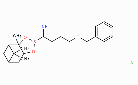 (R)-Boro-Nva(4-OBn)-(+)-Pinanediol-HCl