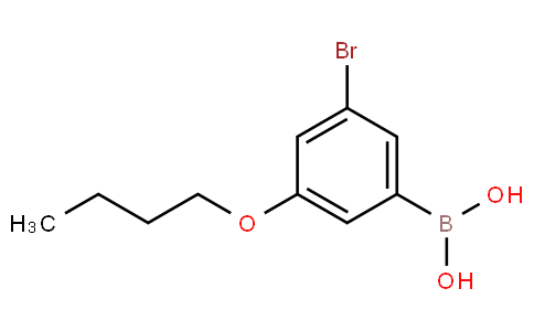 3-溴-5-丁氧基苯硼酸