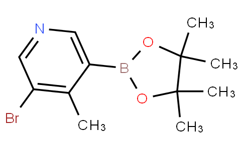 3-Bromo-4-methylpyridine-5-boronic acid pinacol ester