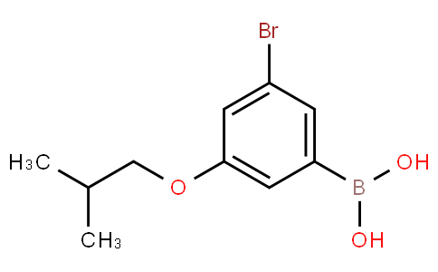 3-溴-5-异丁氧基苯硼酸