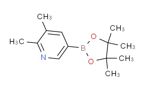2,3-二甲基-5-(4,4,5,5-四甲基-1,3,2-二氧杂环戊硼烷-2-基)吡啶