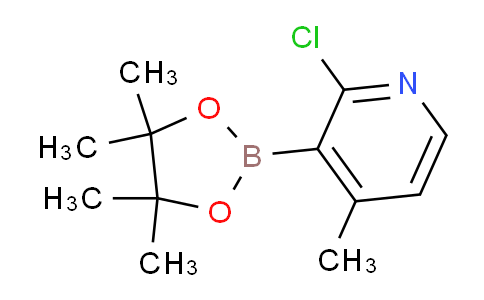 2-氯-4-甲基吡啶-3-硼酸频哪酯
