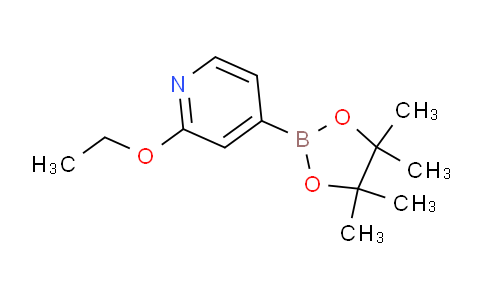2-乙氧基吡啶-4-硼酸频哪醇酯