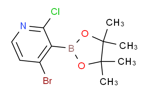 4-Bromo-2-chloropyridine-3-boronic acid pinacol ester