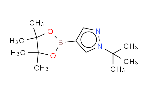 1-t-Butylpyrazole-4-boronic acid, pinacol ester