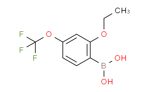 2-乙氧基-4-(三氟甲氧基)苯硼酸