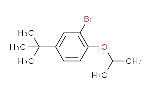 2-BroMo-4-t-butyl-1-isopropoxybenzene