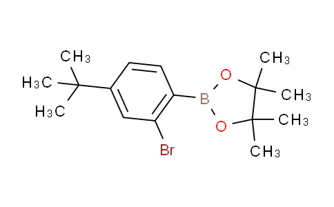 2-(2-Bromo-4-(tert-butyl)phenyl)-4,4,5,5-tetramethyl-1,3,2-dioxaborolane